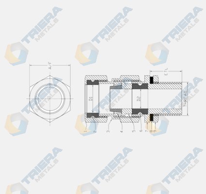 Double Compression Cable Glands- Structure
