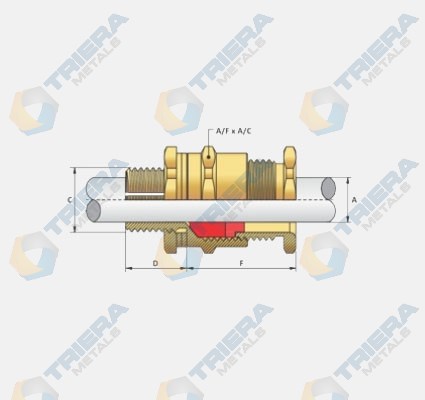 Cxt Type Glands- Structure