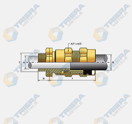 CW 4PT Cable Gland- Structure