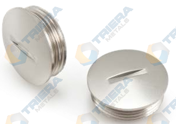 Slotted Round Type Plug