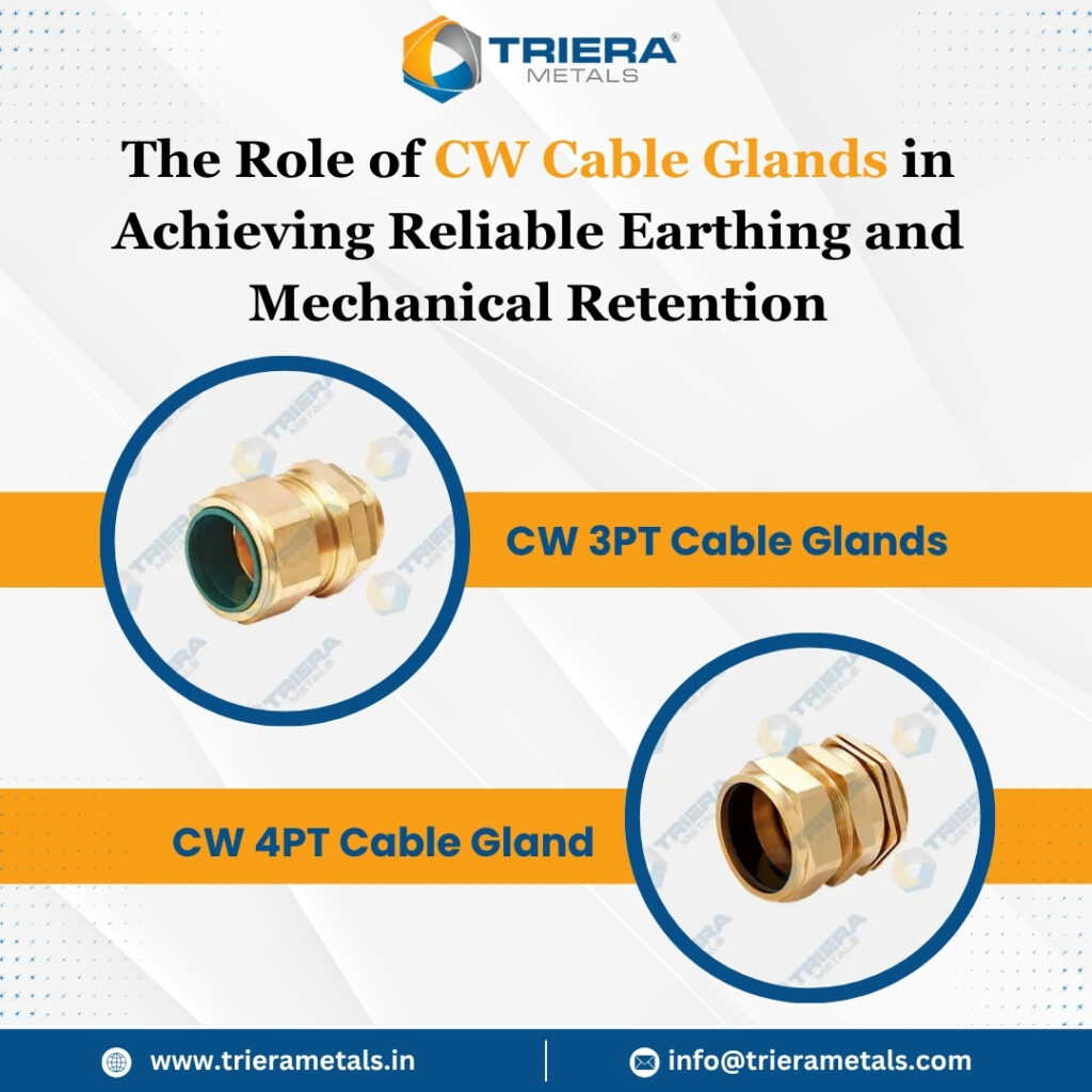 WhatsApp Image 2025 07 02 at 5.10.37 PM